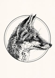 a black and white drawing of a fox in a circle