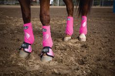 the legs of two horses wearing pink socks