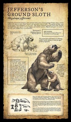 an old poster with bears and other animals in different stages of their life, including the ground sloth