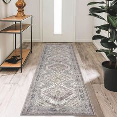 a large area rug on the floor in front of a door with a potted plant