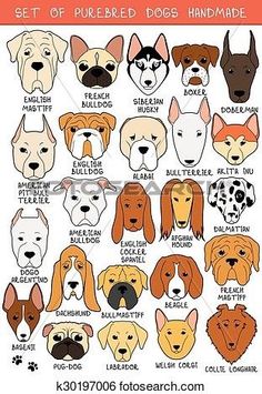 set of colored dogs and their names