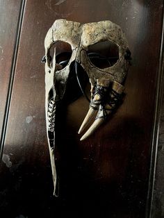 an animal's skull mounted on a wall with a mask attached to the side