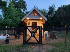 some animals are standing in front of a small house with a gate and lights on