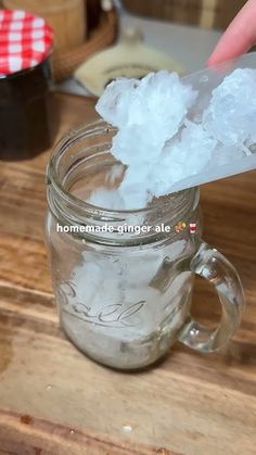 Homemade ginger ale 🫚🥤 without the added sugar!! Cracker Salad, Ginger Tea Benefits, Homemade Ginger Ale, Best Non Alcoholic Drinks, Lemonade Smoothie, Ginger Drink, Ginger Shot, Drink Recipes Nonalcoholic, Cocktail And Mocktail