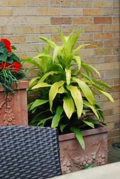 two planters with flowers in them sitting next to a brick wall