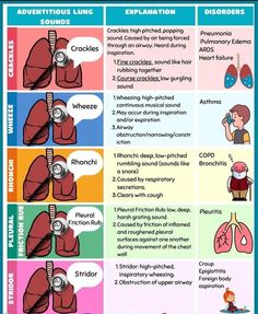 the stages of breathing and how they can help you get through this info - chart