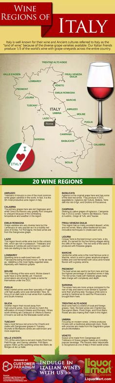 the wine regions of italy are depicted in this info sheet with information about their wines