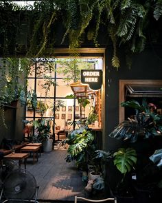 an outdoor area with lots of plants and chairs