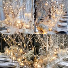 Winter Wonderland Wedding Tips: Magical Ideas for Your Big Day - Yeah Weddings Adult Winter Wonderland Party, Winter Wonderland Wedding Table Decor, Winter Solstice Wedding Ideas, Winter Ball Ideas, Wedding Colour Schemes Winter, Winter Fairy Wedding, Winter Fairytale Wedding