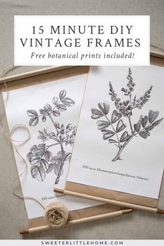 two vintage botanical prints are shown with twine and twine on the table, next to each other