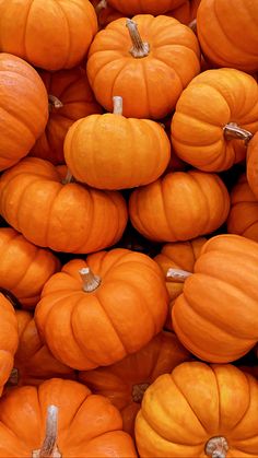 a pile of orange pumpkins sitting next to each other