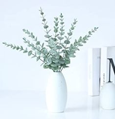 a white vase filled with green plants next to two books on a table and a bookcase in the background