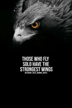 Discover the true power of flying solo with our inspirational quote: 'Those who fly solo have the strongest wing.' Embrace your independence, overcome challenges, and soar to new heights. Let this pin be your daily reminder to harness your inner strength and achieve greatness. #SoloFlyers #InnerStrength #Inspiration"
Keywords: Solo Flyers, Strongest Wing, Independence, Inner Strength, Inspiration Eagles Quotes, Fighter Quotes, Beast Quotes, Lion Quotes, Inspirtional Quotes, Motivational Quotes Wallpaper, Strong Mind Quotes, Genius Quotes, Warrior Quotes