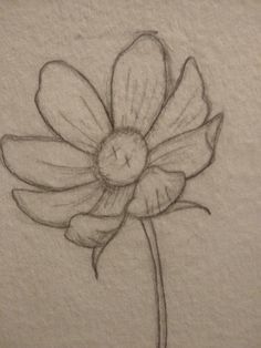 a pencil drawing of a flower on paper