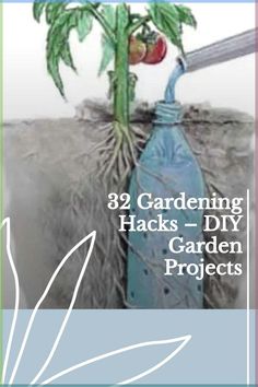 an image of gardening hacks - diy garden projects with text that reads, 32 gardening hacks - diy garden projects