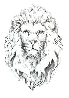 a black and white drawing of a lion's head