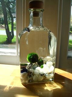 a bottle filled with rocks and plants on top of a table next to a window