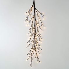 a long branch with lights hanging from it's end on a wall in front of a white background