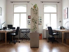 an office with two desks and chairs in front of three windows, one has a potted plant on it