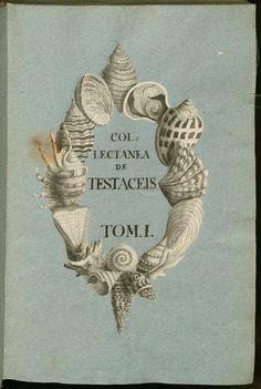 an old book with shells on it and the words colle tectana de tresaces tomi