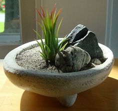 a small potted plant with rocks and grass in it on a table next to a window