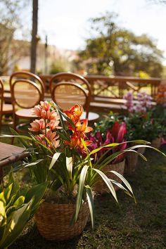 several chairs and tables with flowers in them