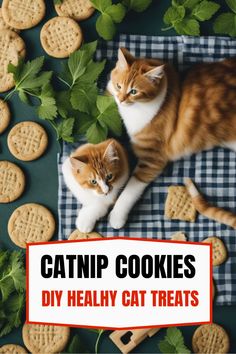 two cats laying next to each other with the caption catnip cookies diy healthy cat treats