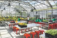 several people working in a greenhouse with many tables and chairs