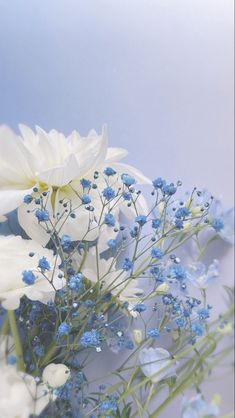 white and blue flowers are in a vase