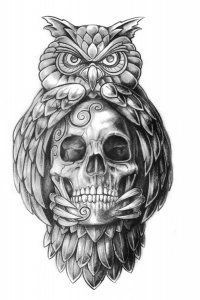 an owl and skull tattoo design