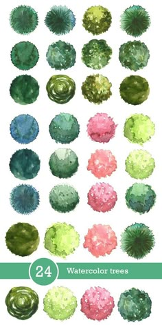 watercolor brushes are used to create different shapes and colors