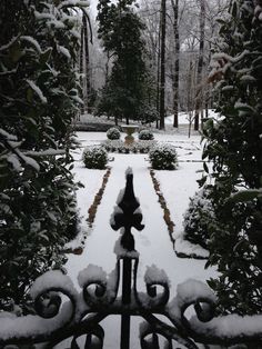 an iron gate in the middle of a snow covered garden