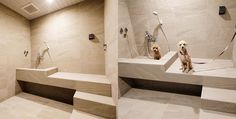 two dogs are sitting on some steps in a bathroom with tiled walls and flooring