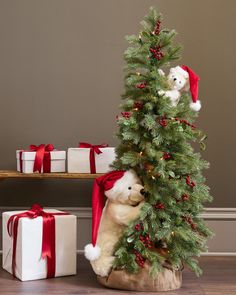 a teddy bear in a christmas tree with presents on the floor next to it,