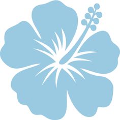 a blue flower on a white background