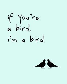 two birds sitting next to each other with the words if you're a bird, i'm a bird