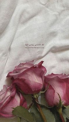 some pink roses are laying on a white sheet