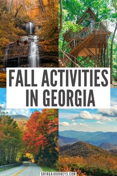 fall activities in georgia with text overlay