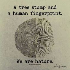 there is a sign that says we are nature and the image shows a tree stump and a human fingerprint