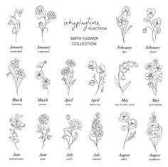 the birth flower collection is shown in black and white, with flowers drawn on it