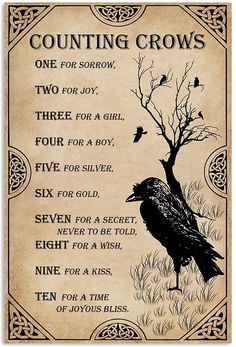 One For Sorrow, Counting Crows, Xmas Art, Witch Spirituality, Witchcraft Spell Books, Witch Spell Book, Witch Books, Witch Stuff, Witch Spell