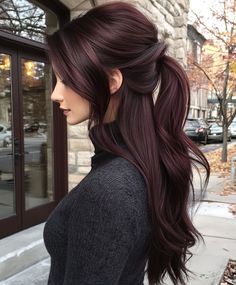 Hair Color For Thick Hair, Mahogany Hair Highlights, Mahagony Hair Color, Long Sleek Ponytail, Dark Fall Hair Color For Brunettes, Dark Mahogany Hair, Dark Burgundy Hair Color, Mahogany Hair Color, Long Shaggy Bob