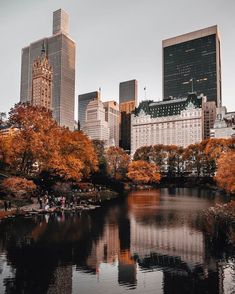 the city is full of tall buildings and trees with orange leaves on it's branches