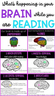 a poster with the words, what happens in your brain while you are reading