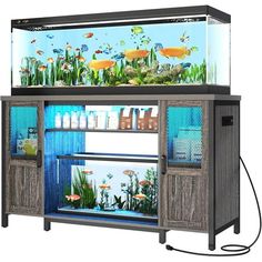 an aquarium with fish and algaes in it's display case, on wheels