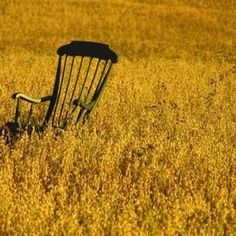 an old rocking chair sitting in the middle of a field full of tall yellow grass