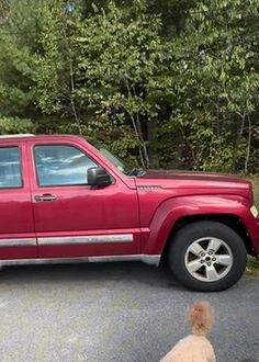 a red truck parked in a parking lot next to a dog walking by it's owner