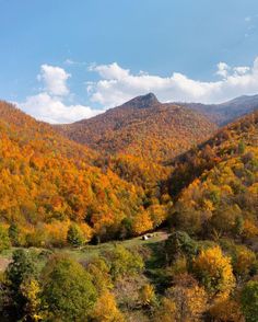 the mountains are covered in autumn foliage