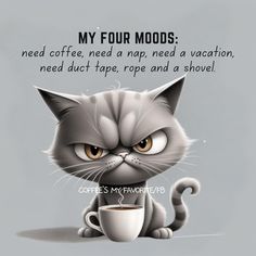 a gray cat sitting next to a cup of coffee with the caption, my four modds