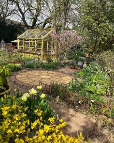 the garden is full of plants and flowers